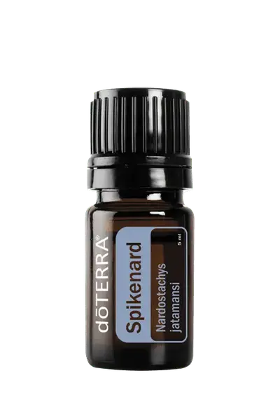 Ефірна олія Spikenard Oil купити