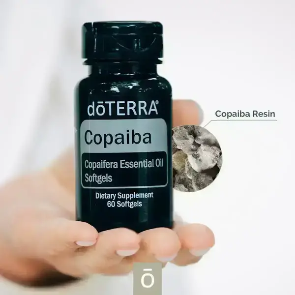 Капсули Copaiba Softgels купити недорого в Україні, фото 2