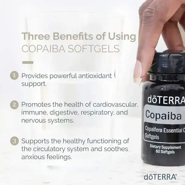 Капсули Copaiba Softgels купити недорого в Україні, фото 3