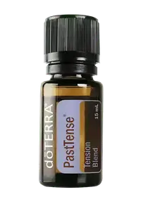 PastTense купити