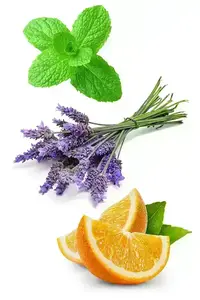 Суміш олій Adaptiv купити