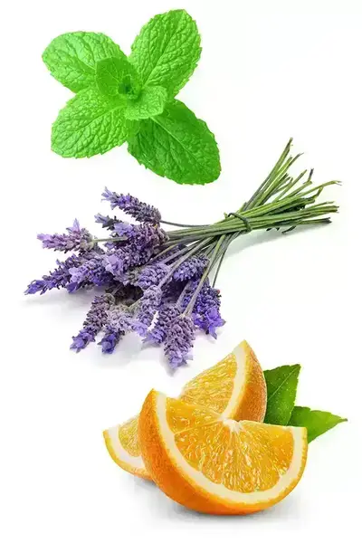 Суміш олій Adaptiv купити недорого в Україні, фото 2