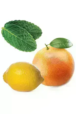 Суміш ефірних олій Slim & Sassy купити недорого в Україні, фото 2