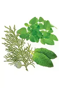 Суміш ефірних олій Aromatouch купити