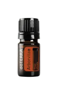 Эфирное масло Arborvitae (Масло Туя) купить