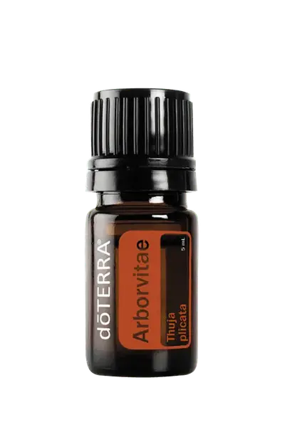 Эфирное масло Arborvitae (Масло Туя) купить