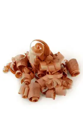 Эфирное масло Arborvitae (Масло Туя) купить недорого в Украине, фото 2