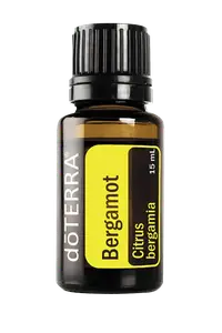 Эфирное масло Bergamot (Бергамот) купить