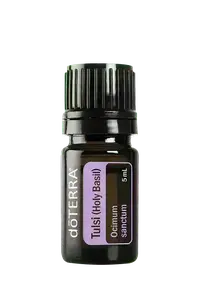 Tulsi Holy Basil купить