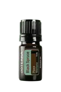 Black Spruce купить