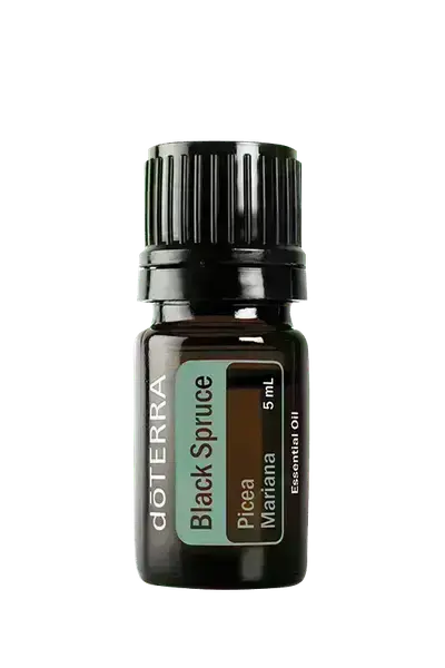 Black Spruce купить