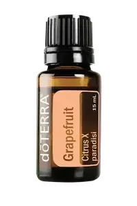 Grapefruit купить