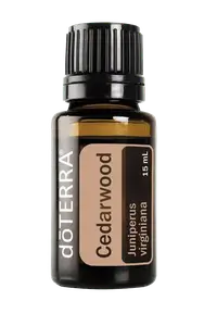 Эфирное масло Cedarwood (Масло Кедр) купить