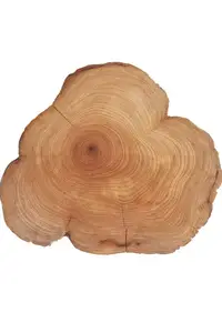 Эфирное масло Cedarwood (Масло Кедр) купить