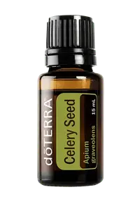 Эфирное масло Celery Seed (Сельдерей) купить