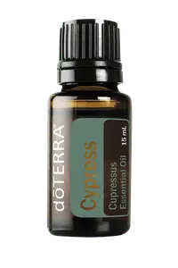 Эфирное масло Cypress Oil (Масло кипариса) купить
