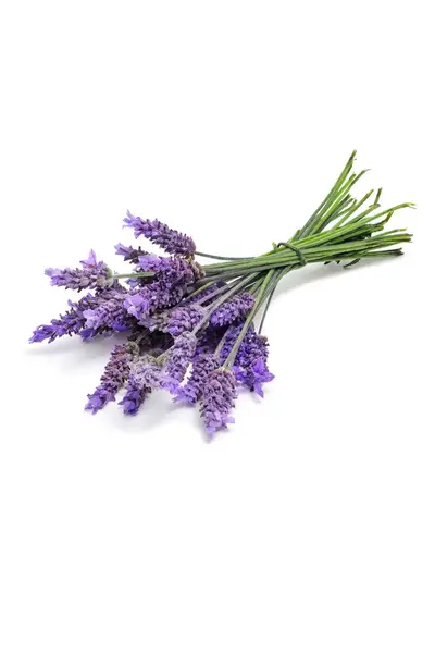 Lavender Touch купити недорого в Україні, фото 2